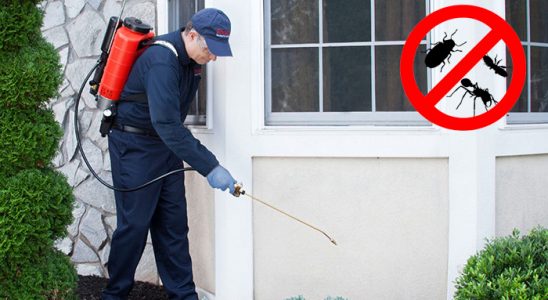 Gülağaç Karınca İlaçlama böcek ilaçlama ve haşere kontrolü — ilaclama-tr.com